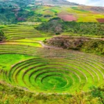 maras moray
